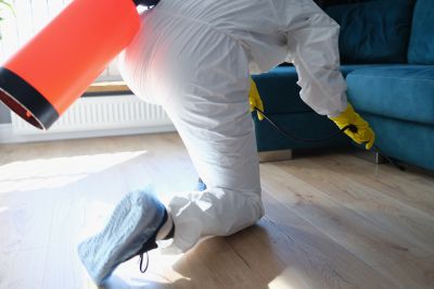 Fumigation Service in Cumming, GA