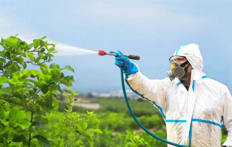 Fumigation Service in Davis County, UT